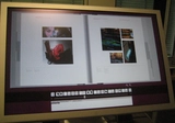 Virtual Book Screen