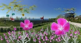 Gardens of the Anthropocene, Seattle Art Museum Olympic Sculpture Park