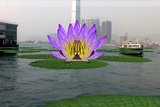 Water Lily Invasion - Hong Kong, near Star Ferry Terminal, 2013. Screenshot by DAW International, SIGGRAPH ASIA 2013